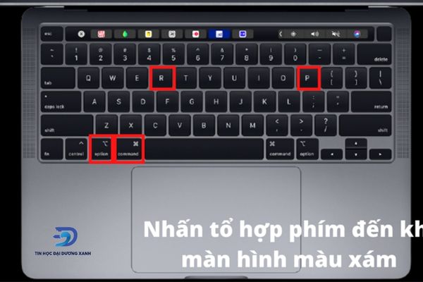 Bấm tổ hợp phím trên Macbook