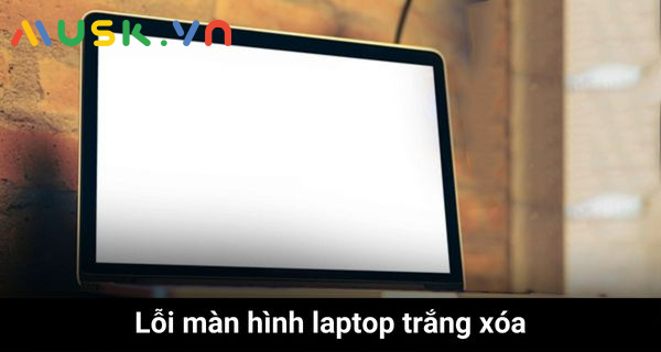 Lỗi Màn Hình Laptop Bị Trắng Xóa – Nguyên Nhân Và Mẹo Sửa Lỗi Đơn Giản