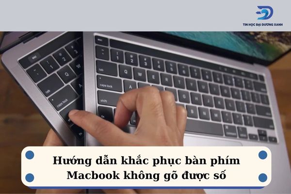 Nguyên nhân và cách sửa lỗi bàn phím Macbook không gõ được số