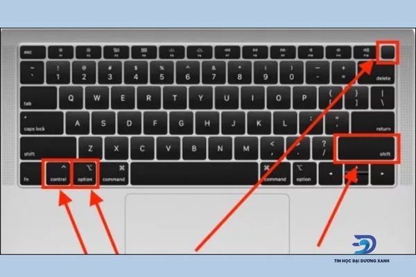 Nhấn và giữ Shift+Control+Option+Power trong 10 giây